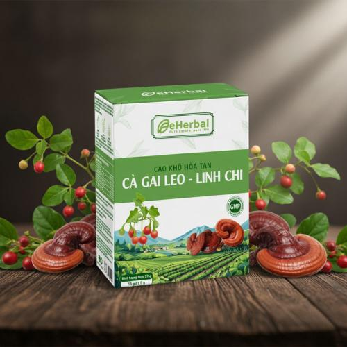 Bí Quyết Dưỡng Gan Tự Nhiên Từ Thảo Mộc Và Nấm Quý