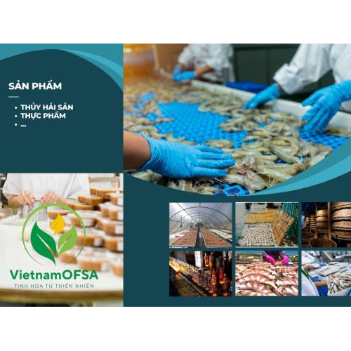 Chính Thức Ra Mắt VietnamOFSA.vn – Nền Tảng Thương Mại Điện Tử Cho Nông Sản Xanh