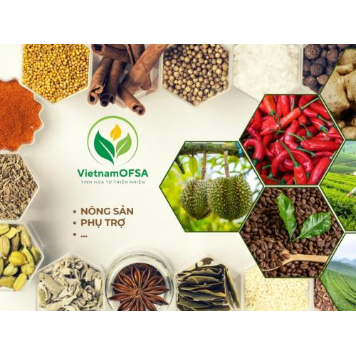 Chính Thức Ra Mắt VietnamOFSA.vn – Nền Tảng Thương Mại Điện Tử Cho Nông Sản Xanh