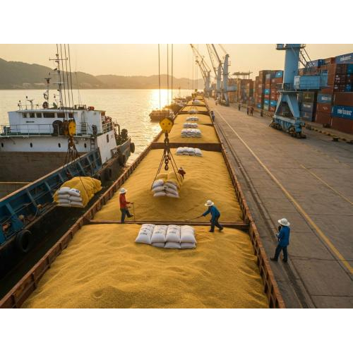 Chính Thức Ra Mắt VietnamOFSA.vn – Nền Tảng Thương Mại Điện Tử Cho Nông Sản Xanh