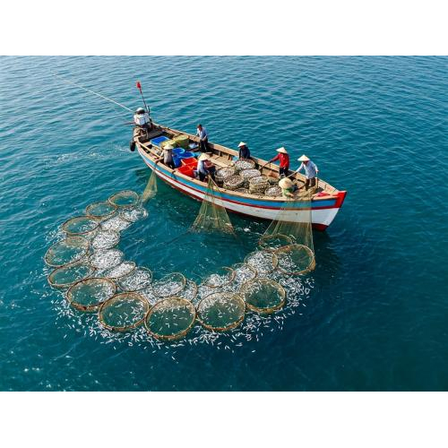 Chính Thức Ra Mắt VietnamOFSA.vn – Nền Tảng Thương Mại Điện Tử Cho Nông Sản Xanh