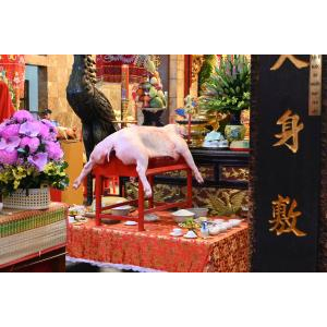 An Giang: Lễ Túc Yết Và Lễ Xây Chầu